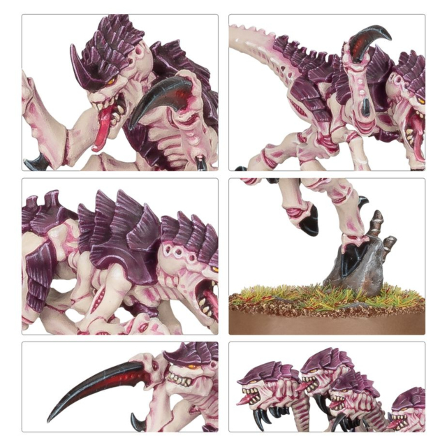 Games Workshop Warhammer 40000-Tyranids-Hormagaunts 51-17