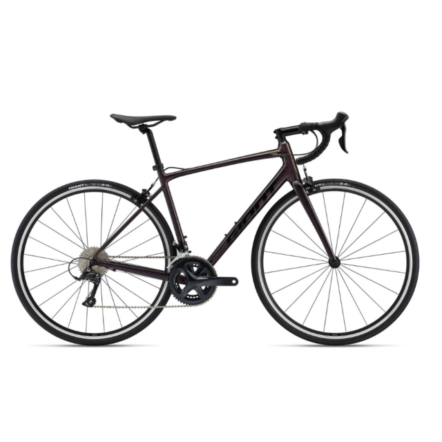 Giant Contend 1 Rosewood Large 2022