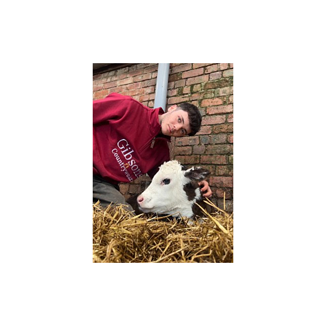 Ruby 1/4 Zip Pullover Burgundy 