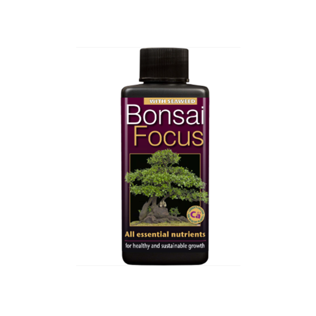 Growth Technology Bonsai Focus 