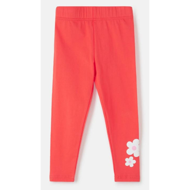 Lighthouse Mollie Leggings - Coral And Flower