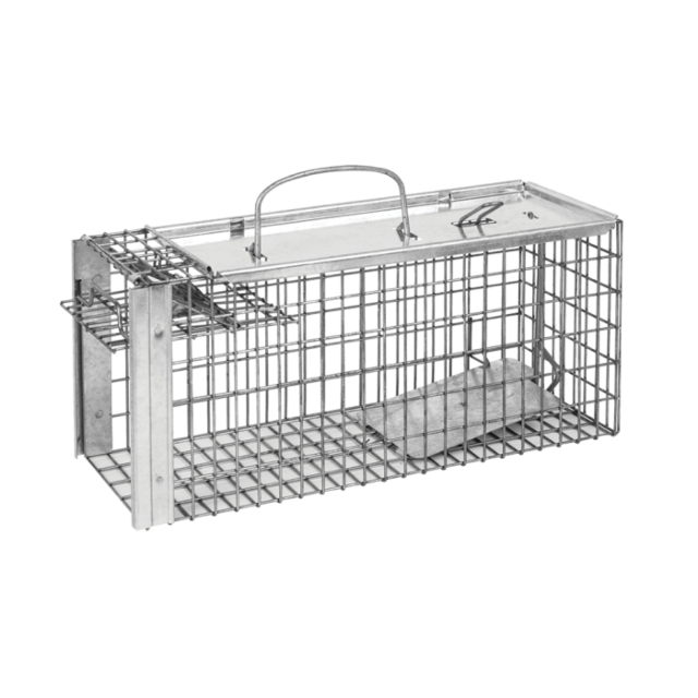 The Big Cheese Rat Cage
