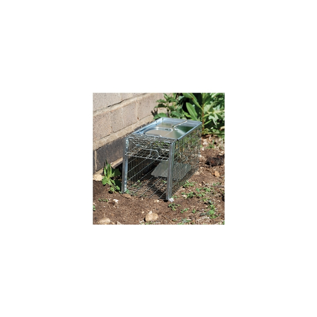 The Big Cheese Rat Cage