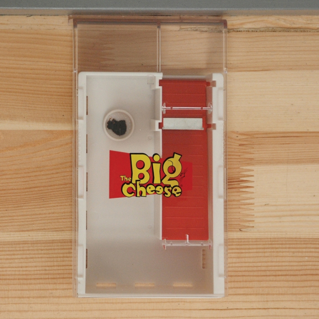 The Big Cheese Live Multi Catch Mouse Trap