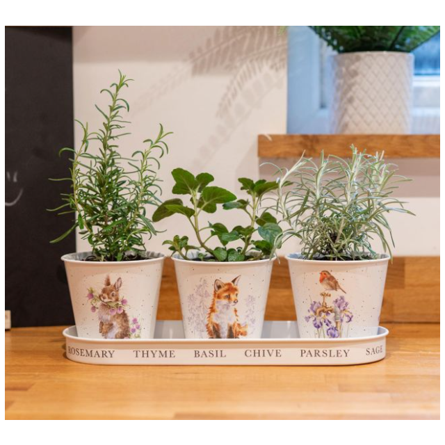 Wrendale Animal Herb Pots