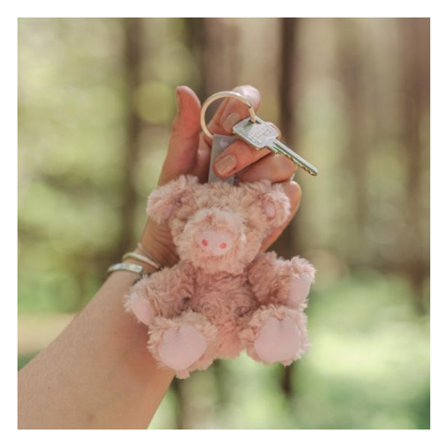Wrendale Plush Keyring - Pig