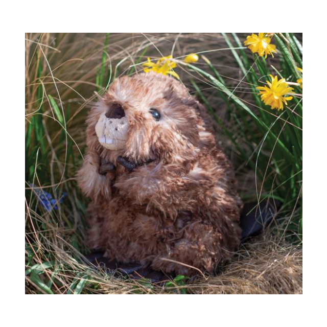 Wrendale Beaver Chester - Junior